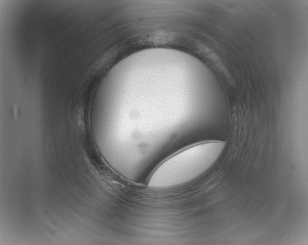 X0000073870212200608101115