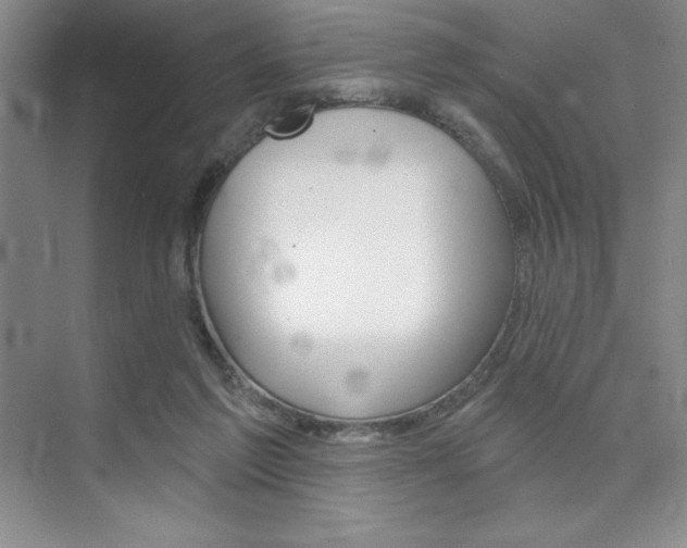 X0000073870213200608101115