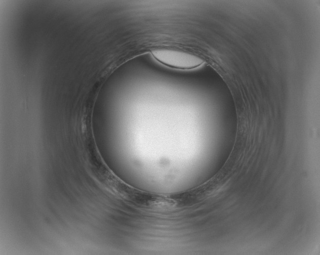 X0000073870215200608101115