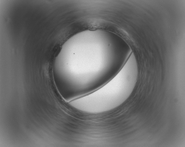 X0000073870217200608101115