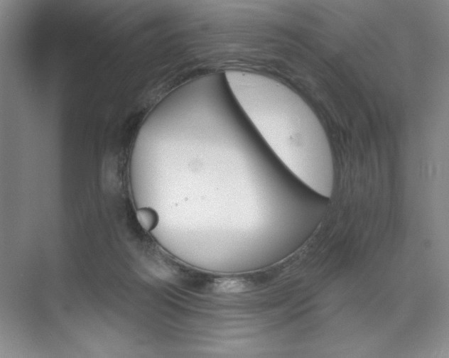 X0000073870218200608101115