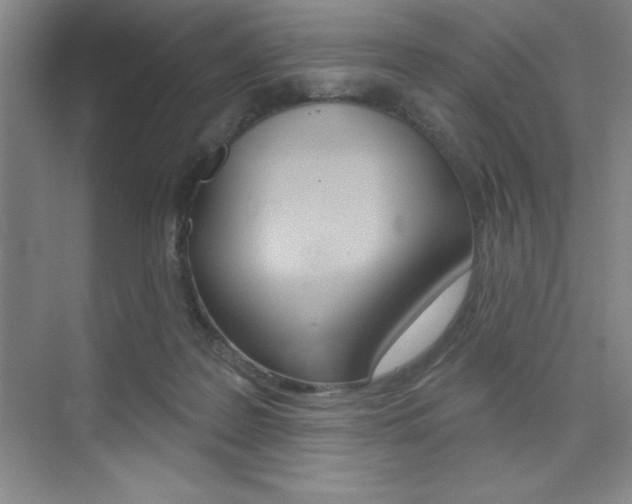 X0000073870219200608101115