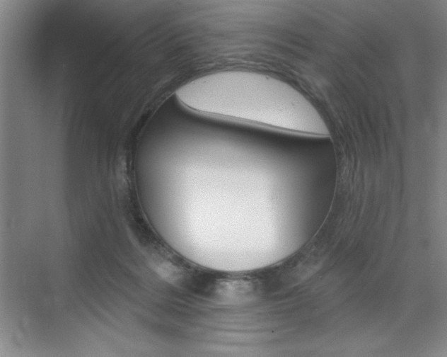 X0000073870220200608101115