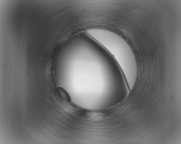 X0000073870221200608101115