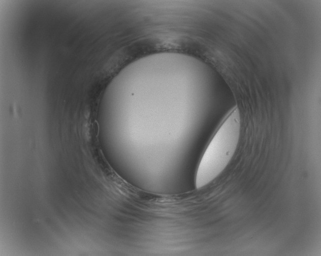 X0000073870223200608101115