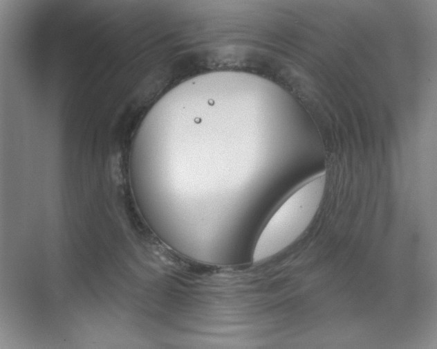 X0000073870224200608101115