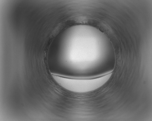 X0000073870229200608101115