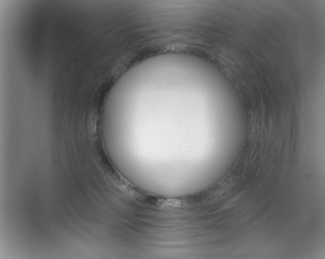 X0000073870230200608101115