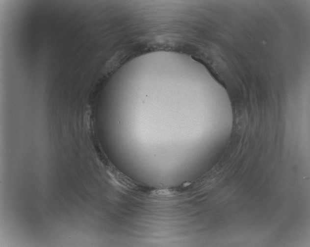 X0000073870231200608101115