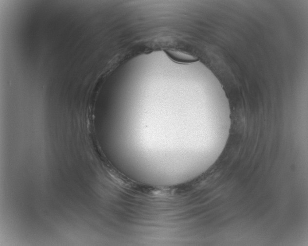 X0000073870232200608101115