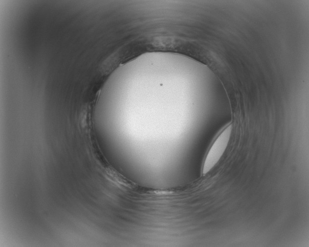 X0000073870233200608101115