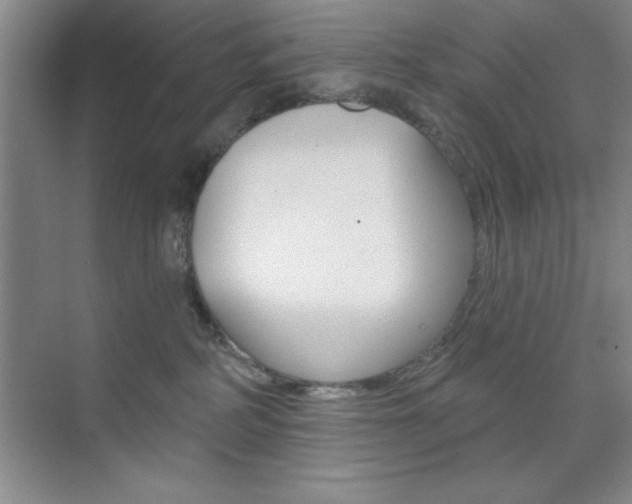 X0000073870234200608101115