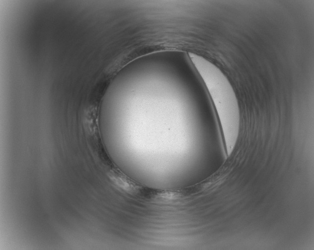 X0000073870237200608101115