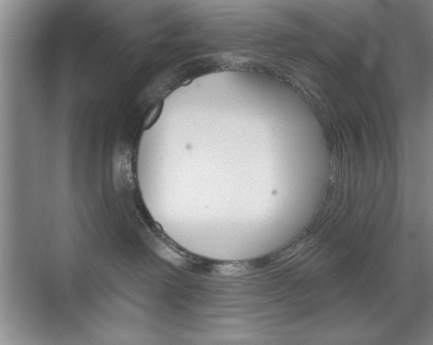 X0000073870238200608101115