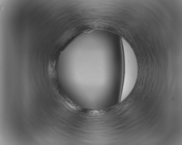 X0000073870239200608101115