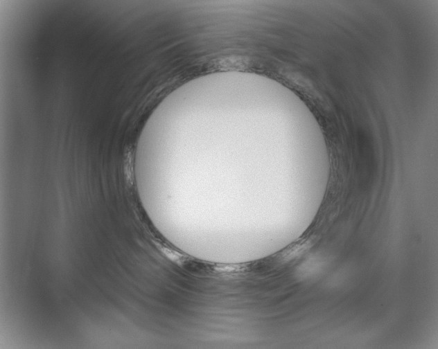 X0000073870240200608101115