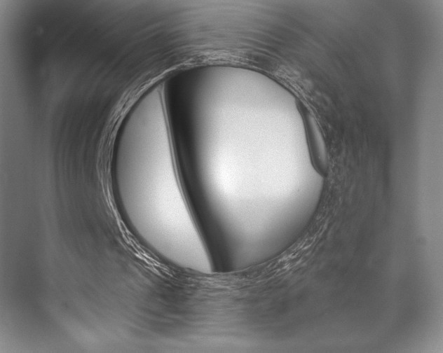 X0000073870241200608101114