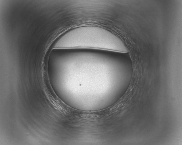 X0000073870242200608101114