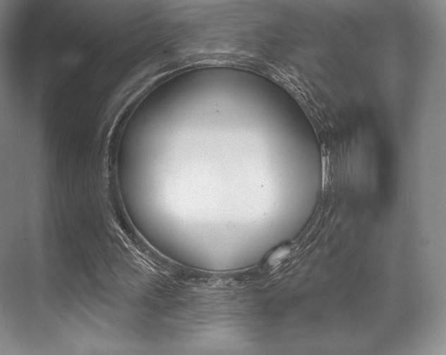 X0000073870243200608101114