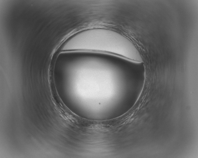 X0000073870244200608101114