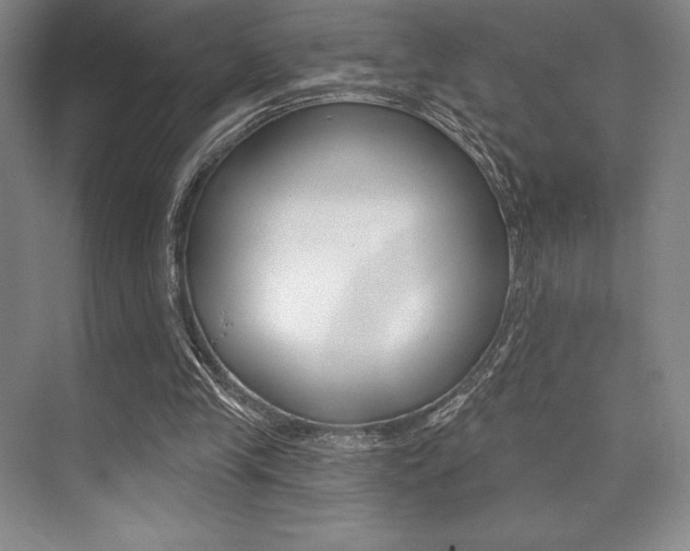 X0000073870245200608101114