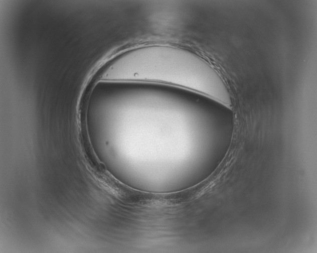 X0000073870246200608101114