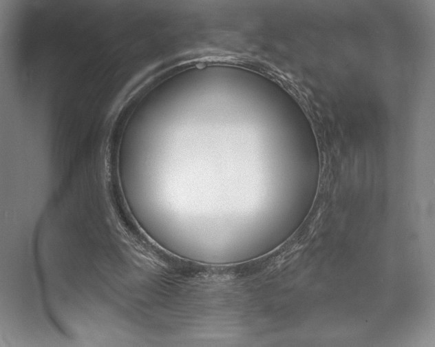 X0000073870247200608101114