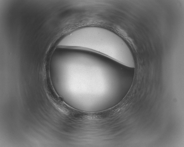 X0000073870250200608101114