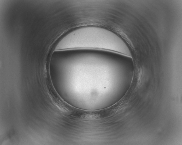 X0000073870251200608101114