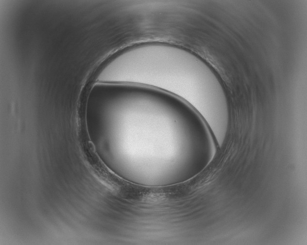 X0000073870252200608101114