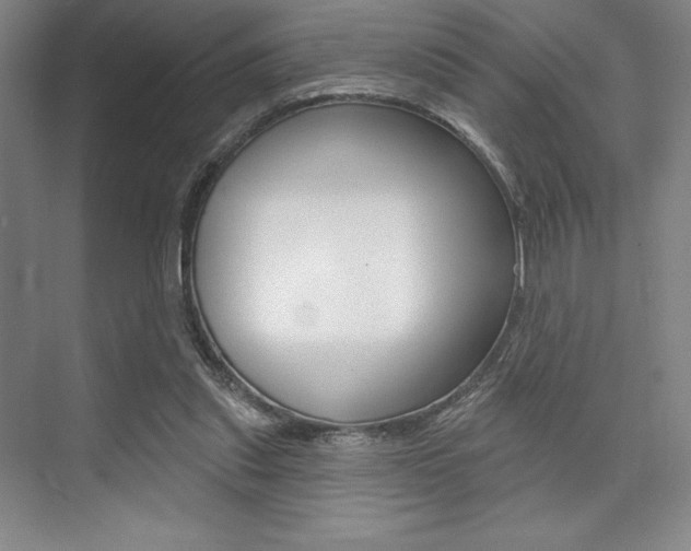 X0000073870253200608101114