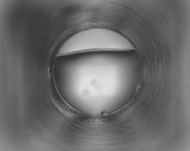 X0000073870254200608101114