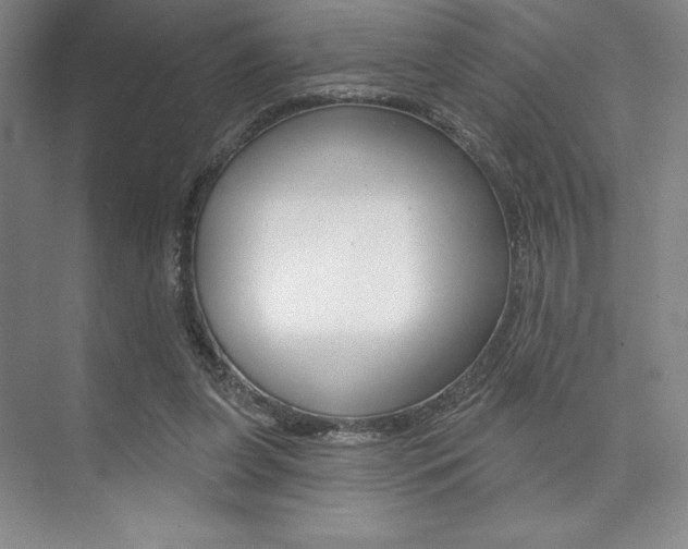 X0000073870255200608101114