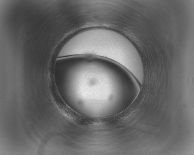 X0000073870256200608101114