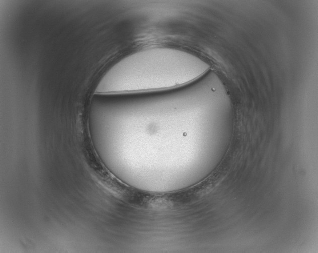 X0000073870258200608101114