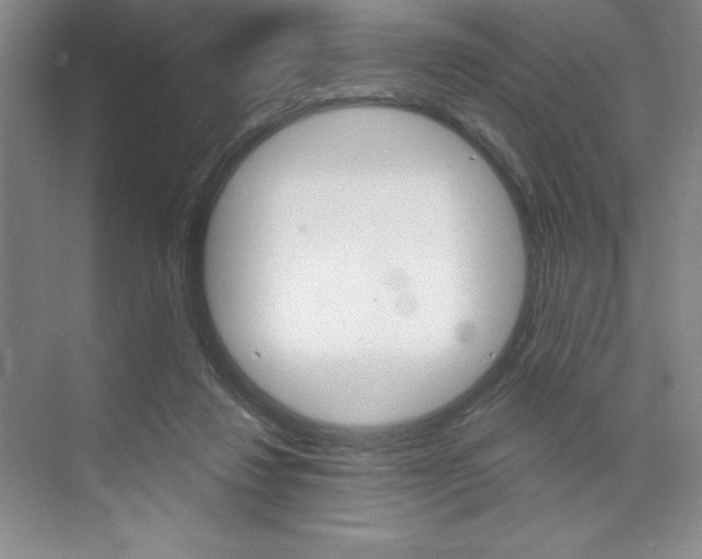 X0000073870260200608101114