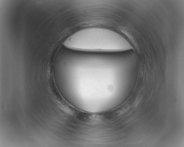 X0000073870261200608101114