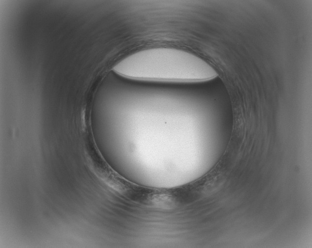 X0000073870262200608101114