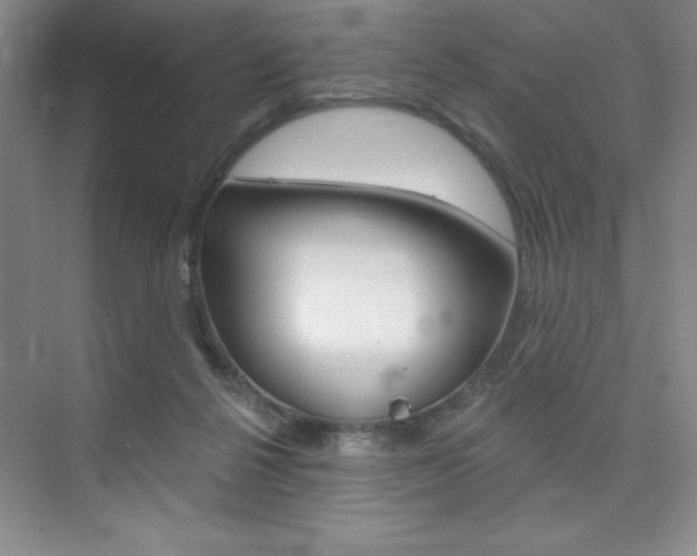 X0000073870264200608101114