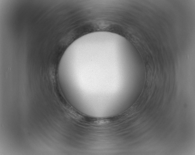 X0000073870274200608101115