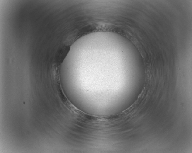 X0000073870276200608101115