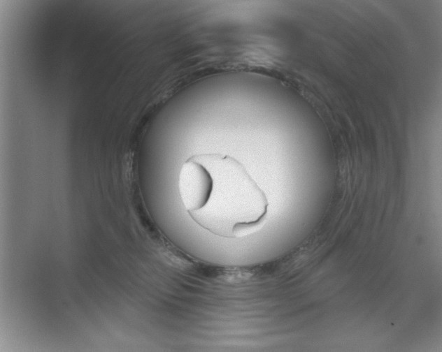 X0000073870278200608101115