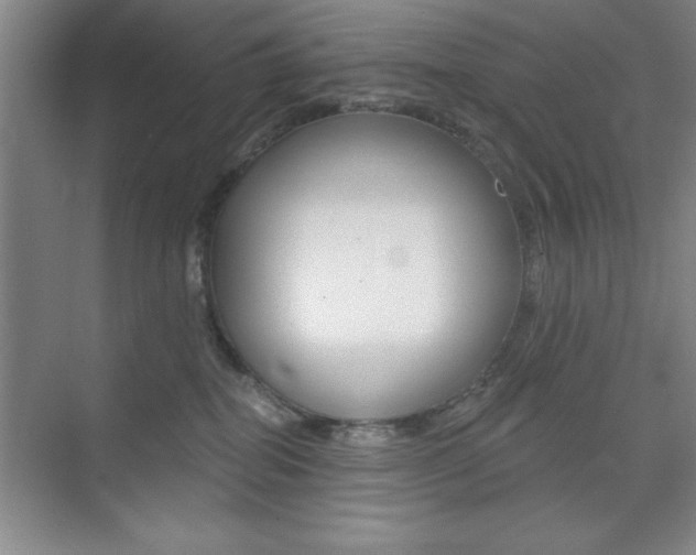 X0000073870282200608101115