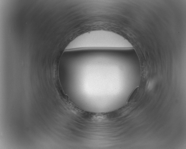 X0000073870283200608101115