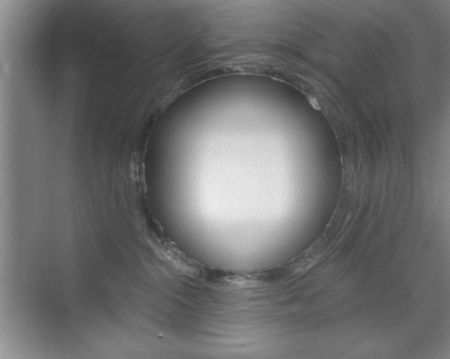 X0000073870284200608101115