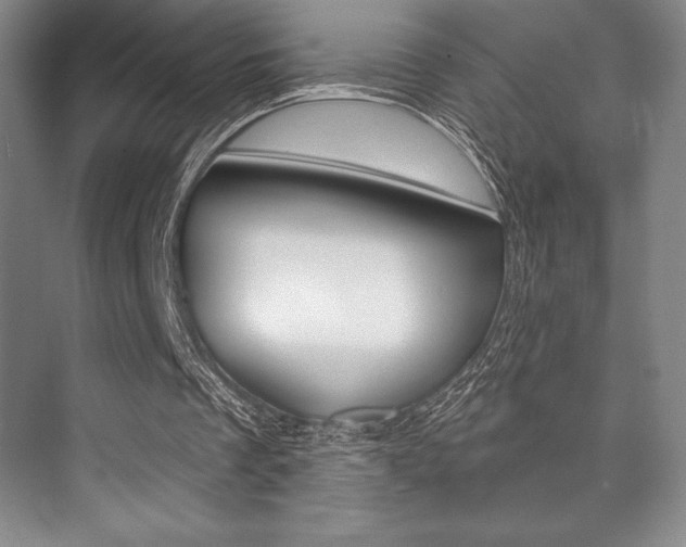 X0000073870289200608101114