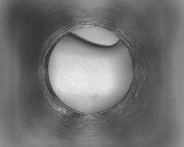 X0000073870290200608101114