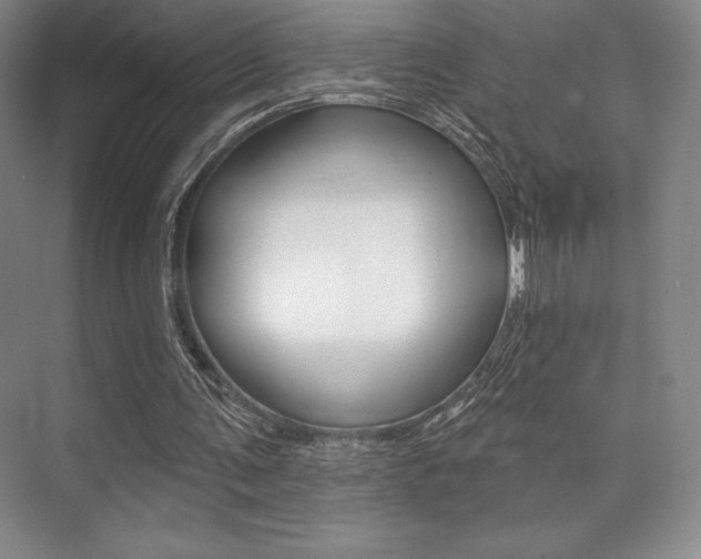 X0000073870291200608101114