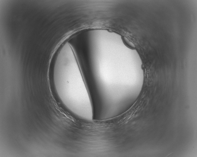 X0000073870292200608101114