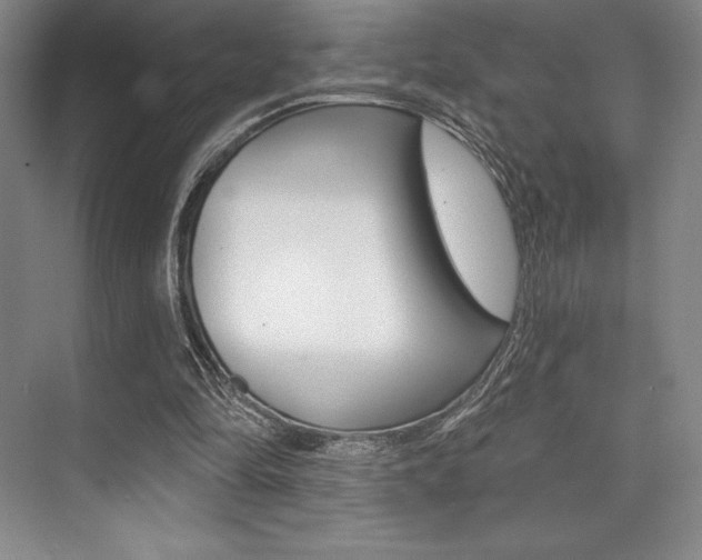 X0000073870294200608101114